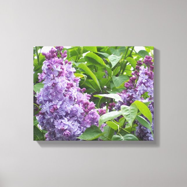 Canvas Art Lilacs (Frente)