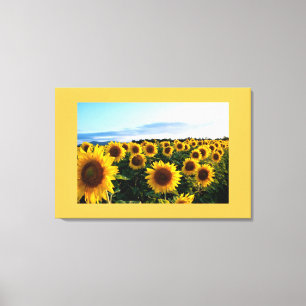 Canvas Art-Sunflower