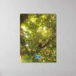 Canvas (Árvore Verde Sol 1) SDCs ©️ 2021/24