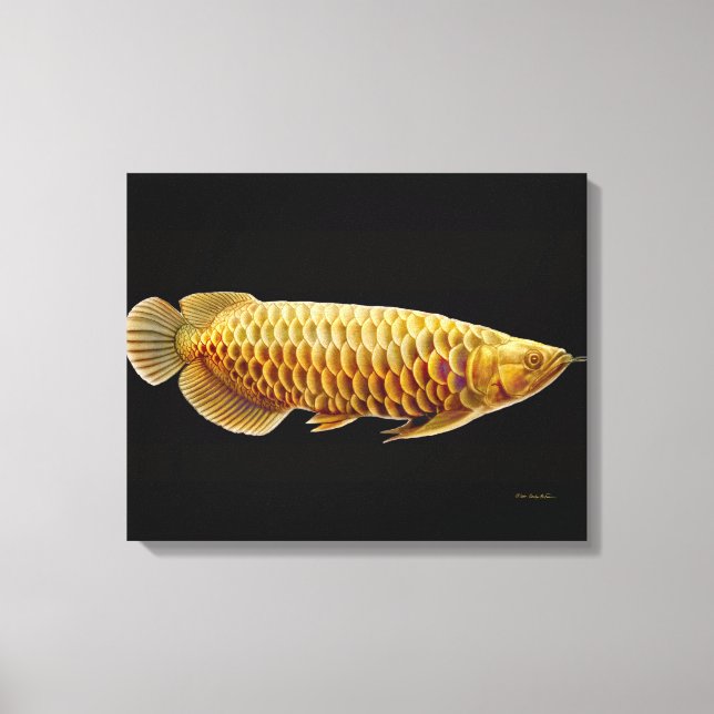 Canvas Asiática de Peixes Arowana (Frente)