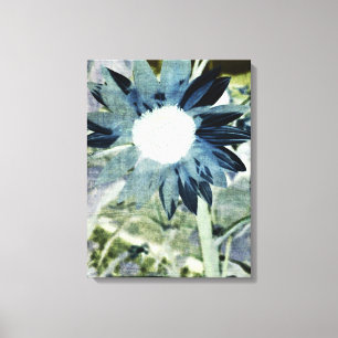 Canvas azuis do girassol da sarja de Nimes
