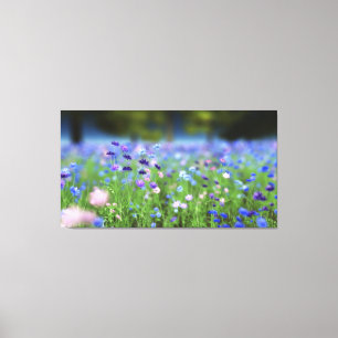 Canvas Azul Cornflower