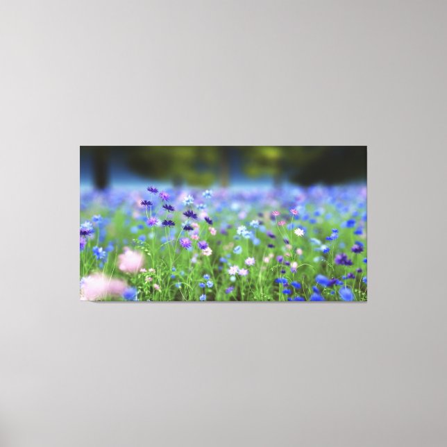 Canvas Azul Cornflower (Frente)