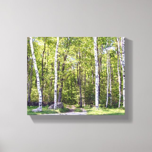 Canvas Birch Tree Woods (Frente)
