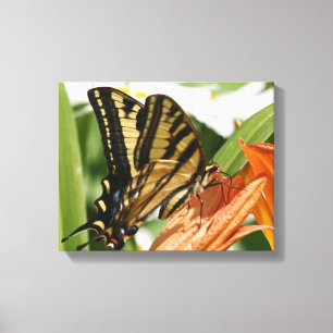 canvas borboleta