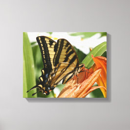 Canvas borboleta