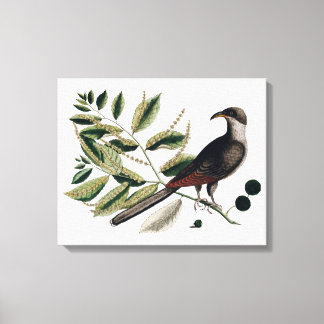 Canvas botânica de aves de capoeira