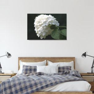 Canvas brancas pretas da flor do Hydrangea do