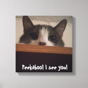 Canvas brincalhão bonitos da imagem do gato do