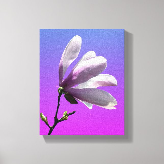 Canvas Colorida Magnolia (Frente)