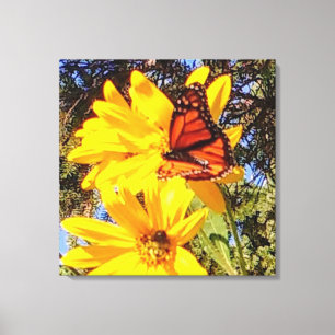 Canvas da borboleta de monarca