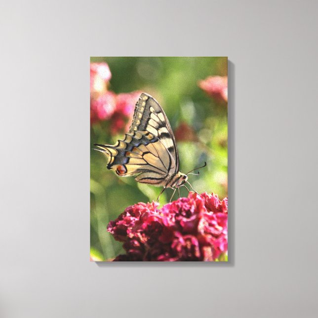 Canvas da Borboleta do Swallowtail Amarelo (Frente)