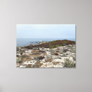 Canvas da Califórnia: Asilomar