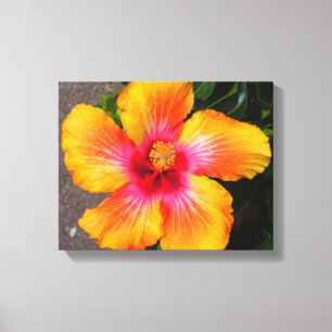 Canvas da flor do fogo