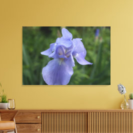 Canvas da Flor Roxo-Iris Roxo de Fecho