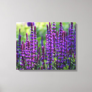 Canvas da foto do Lilac da lavanda