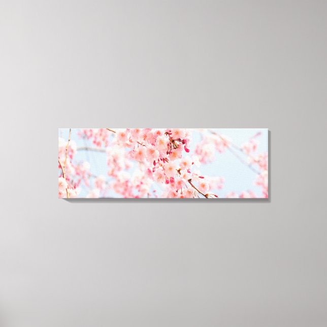 Canvas da Galeria Azul de Rosa de Cherry Blossom (Frente)