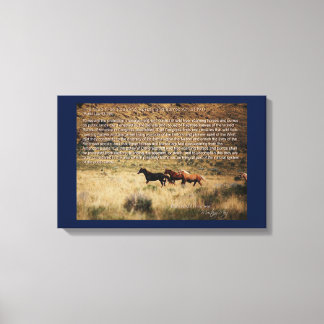 canvas da Lei de 1971 sobre Cavalos e Burros de Ro
