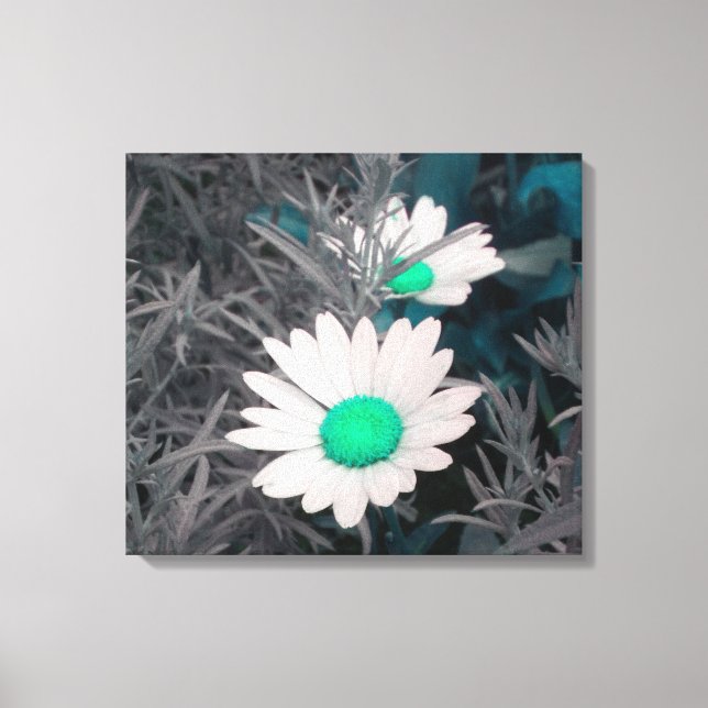 Canvas Daisies (com Verde) (Frente)