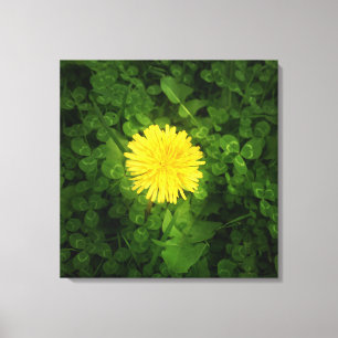 Canvas Dandelion
