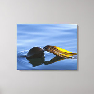 Canvas das bordas do ouro