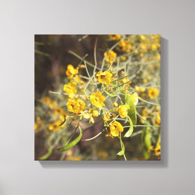 Canvas das flores amarelas (Frente)