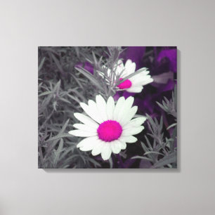 Canvas das margaridas (w/Pink)
