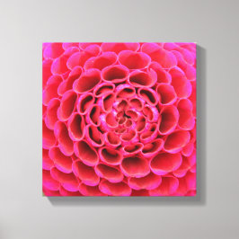 canvas de 12" x 12" - Flor rosa quente
