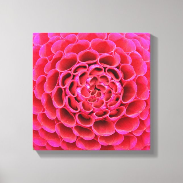 canvas de 12" x 12" - Flor rosa quente (Frente)