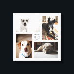 Canvas de 4 Fotografias da Pet da Família Personal<br><div class="desc">Capture as memórias do ano em um impressão quadrado personalizável com quatro de suas fotos favoritas,  nome e ano.</div>