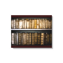canvas de Anéis de Vellum do século XVII