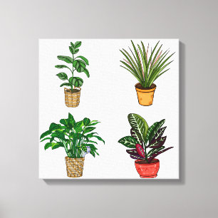 Canvas de Arte de Planta Doméstica