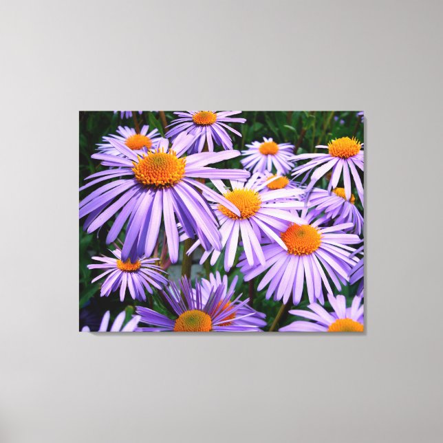 Canvas de Astras Roxas (Frente)