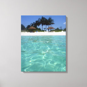 canvas de bahamas cristalina