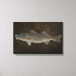 CANVAS DE BAIXOS DE BOCA AMPLA