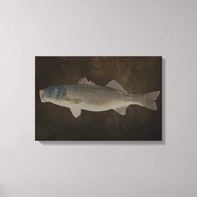 CANVAS DE BAIXOS DE BOCA AMPLA (Frente)