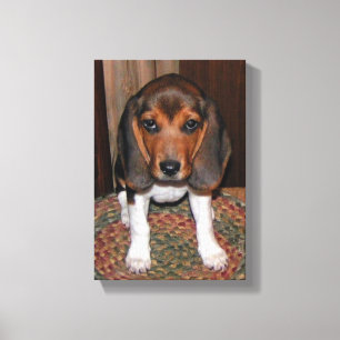 Canvas de Beagle