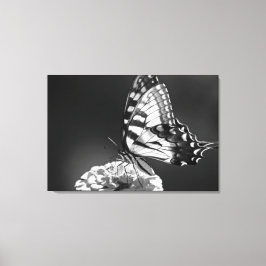 Canvas de Borboleta Preta e Branca