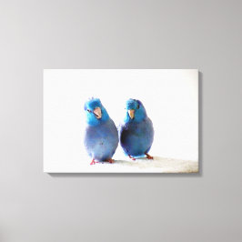 Canvas de Casal de Parrotlet do Pacífico de Aves A