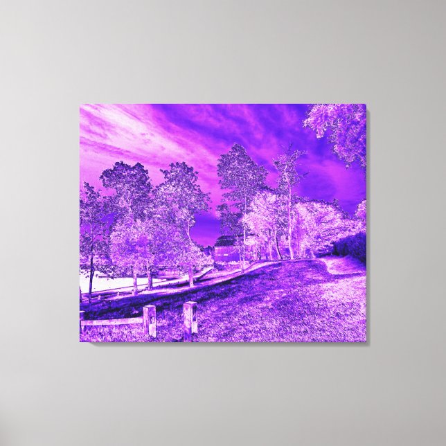 Canvas de cena de boi roxo (Frente)
