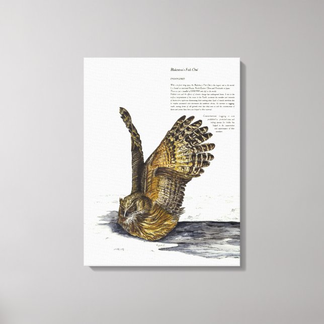 Canvas de Coruja Ameaçada de Mão (Frente)