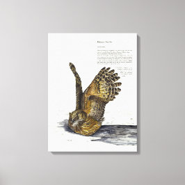 Canvas de Coruja Ameaçada de Mão