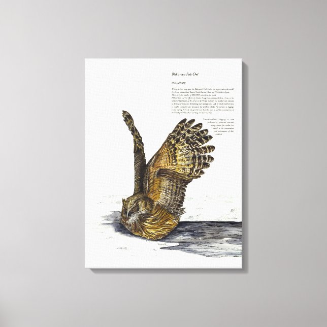 Canvas de Coruja Ameaçada de Mão (Frente)