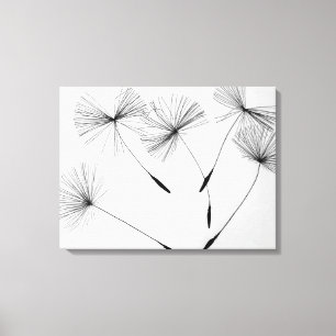 Canvas de Desenho de Dandelion