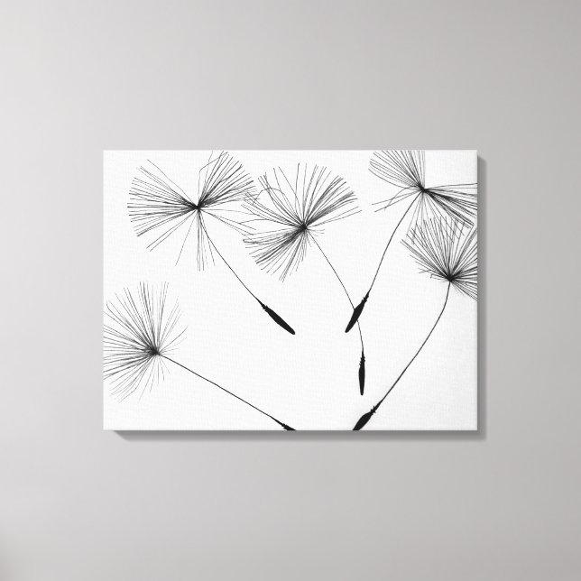Canvas de Desenho de Dandelion (Frente)