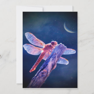 Canvas de Dragonfly, Canvas de boho doce e macia p