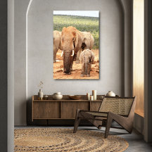 Canvas de elefante do irmão mais novo, Frame