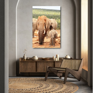 Canvas de elefante do irmão mais novo, Frame