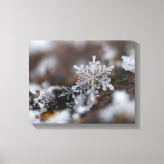 Canvas de flocos de neve