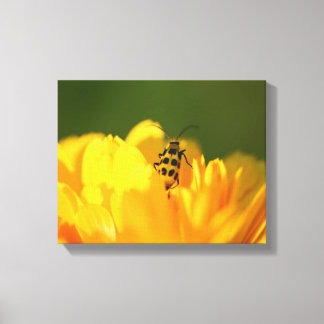 Canvas de flor amarela